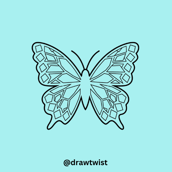 Butterfly with Diamond Patterns 