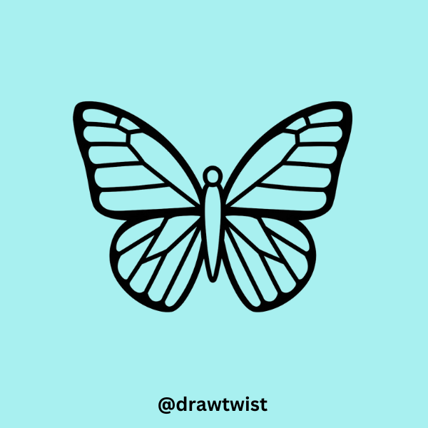 Butterfly with Zigzag Patterns