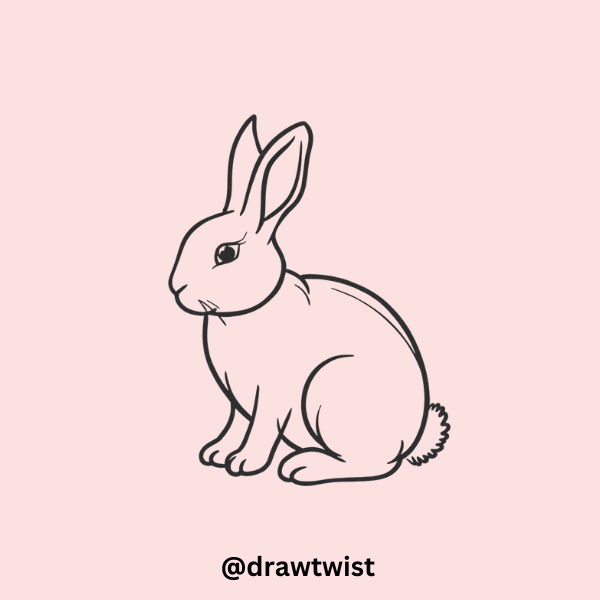 setting Bunny