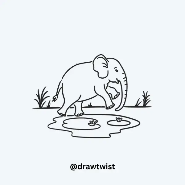 Elephant Jumping in a Puddle