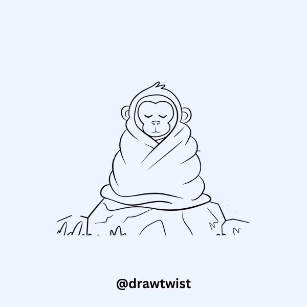 Monkey Wrapped in a Blanket drawing