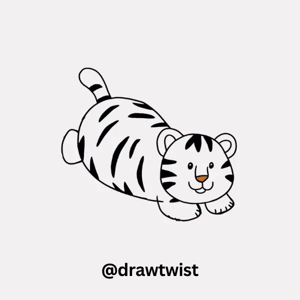 Playful Tiger Rolling