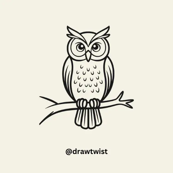 Wise Old Owl drawing
