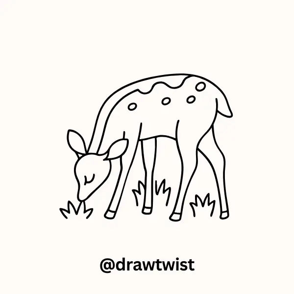 A Deer Eating Grass