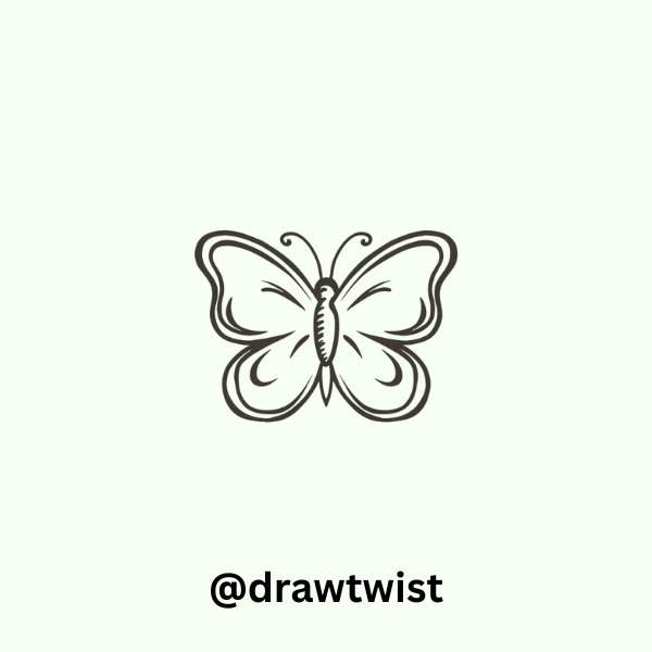 Butterfly Outline