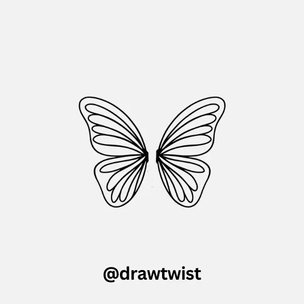 Butterfly Wing