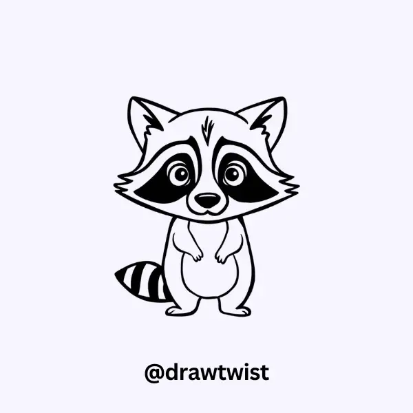 Curious Raccoon Stare