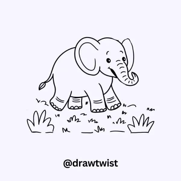 Gentle Elephant Walk