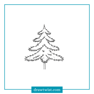 How to Draw Pine Tree and Winter Tree - drawtwist.com