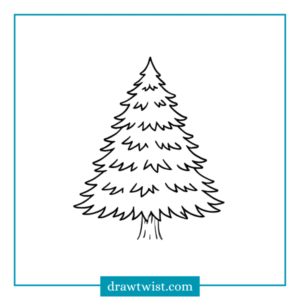 How to Draw Pine Tree and Winter Tree - drawtwist.com