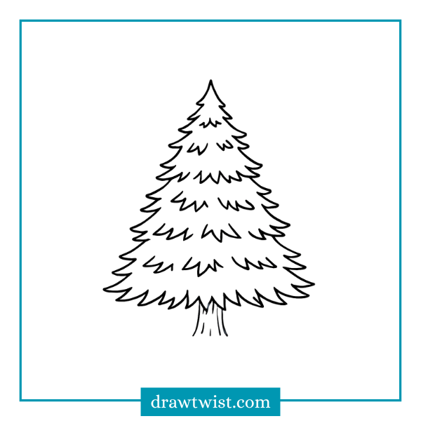 How to Draw a Realistic Pine Tree