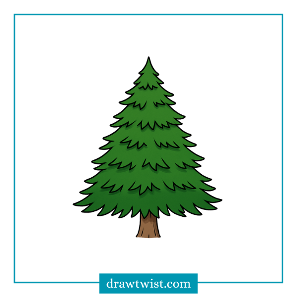 How to Draw a Realistic Pine Tree