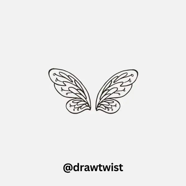 Insect Wing