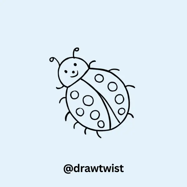 Ladybug