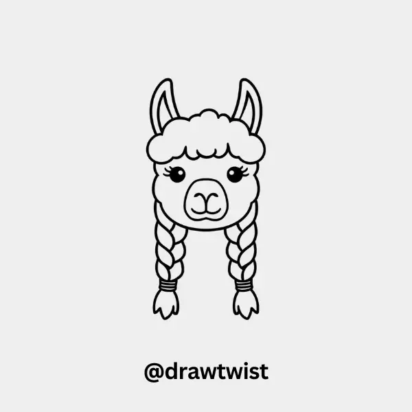 Llama with Braided Hair