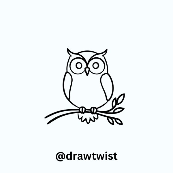 Owl on Branch