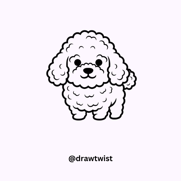 Poodle Doodle Ideas