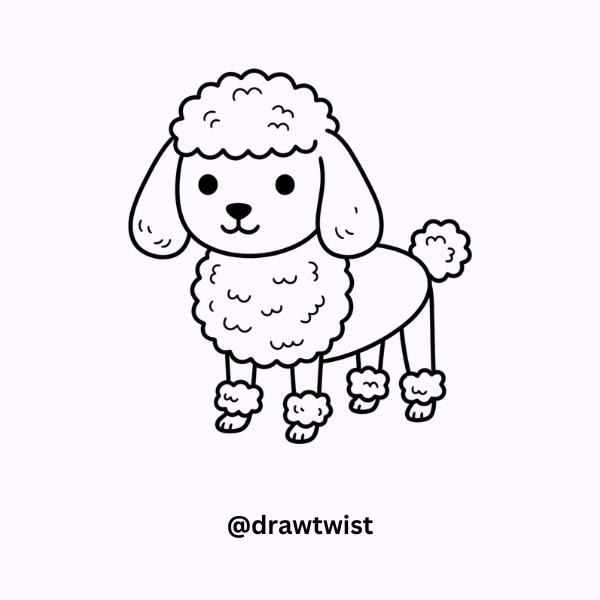 Poodle Doodle Ideas