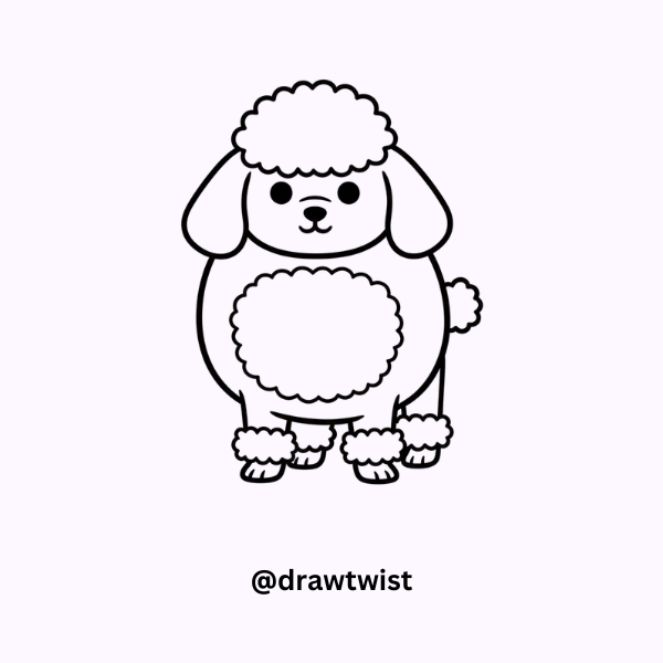 Poodle Doodle Ideas