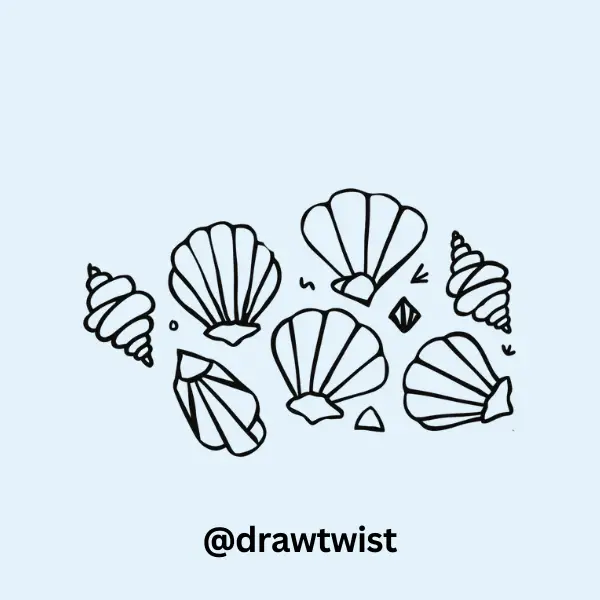 Seashells