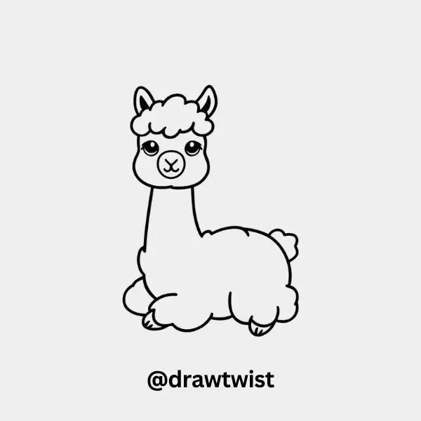 Sitting Llama