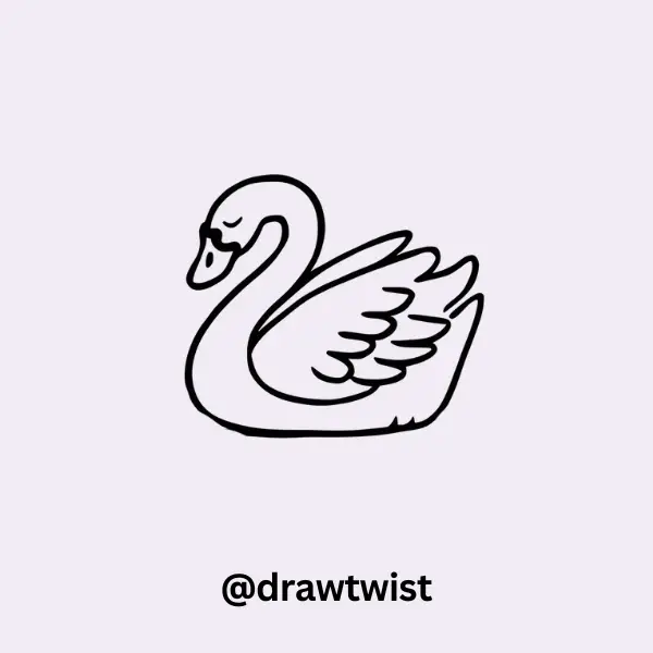 Sleepy Swan