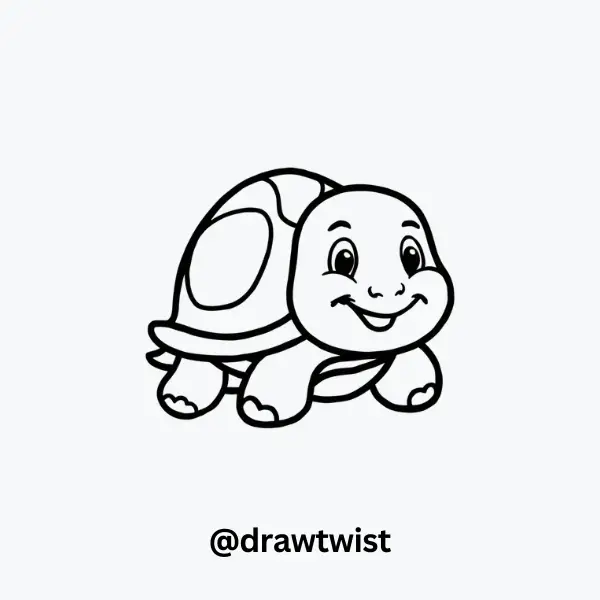 Smiling Turtle with a Tiny Shell