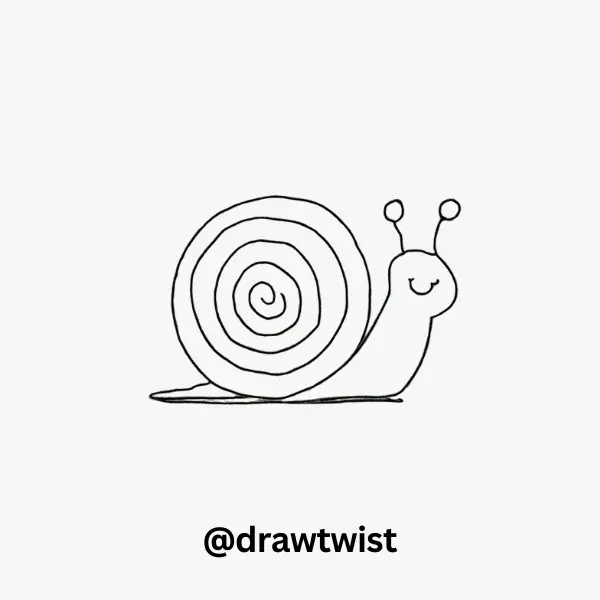 Spiral Pattern Snail