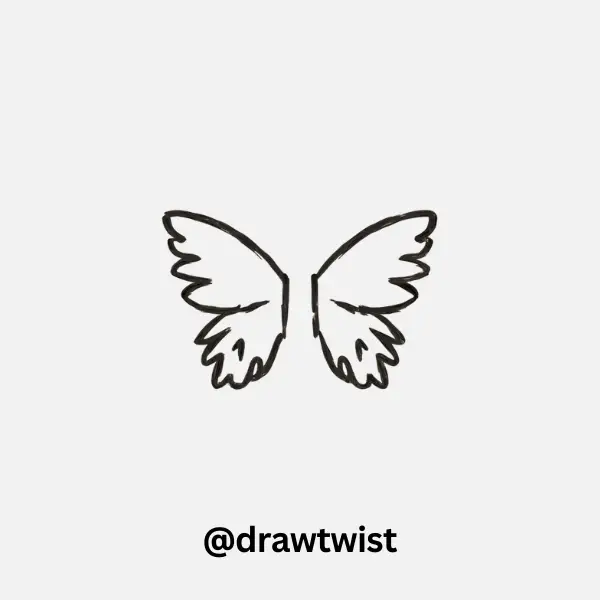Torn/Ripped Wings
