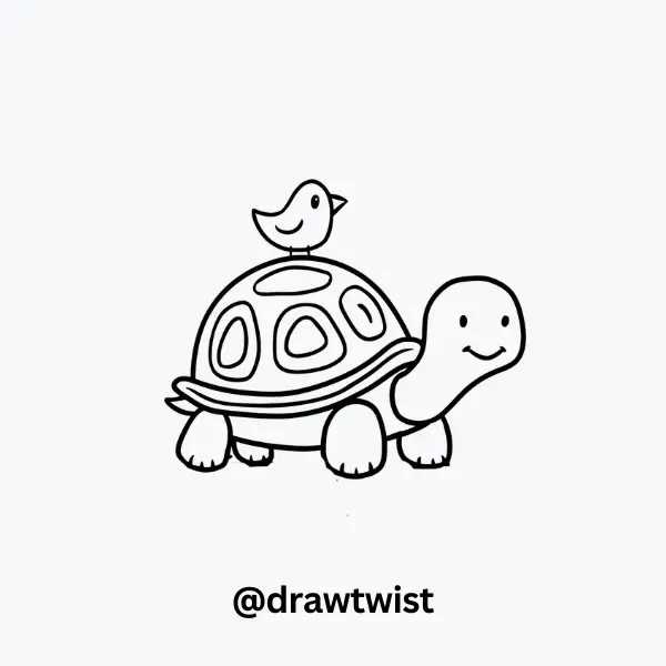 Turtle Carrying a Tiny Bird on Its Shell