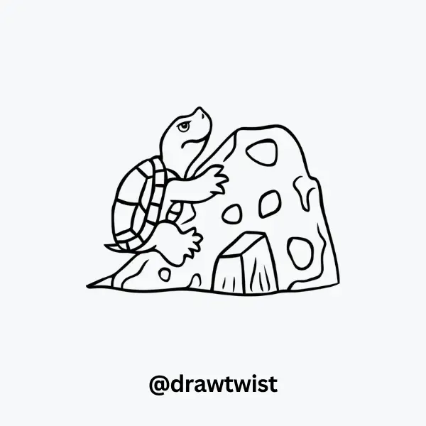 Turtle Climbing a Rock