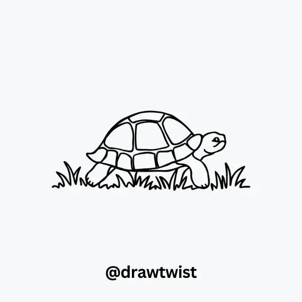 Turtle Walking Through Grass