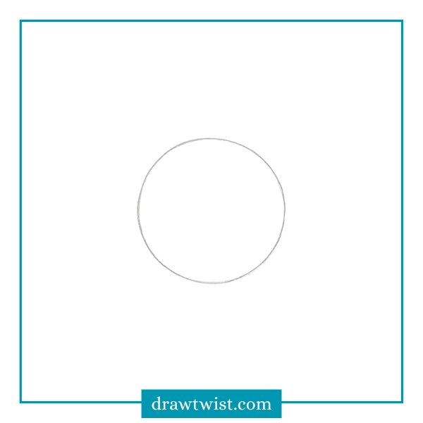 Classic Evergreen Christmas Wreath 