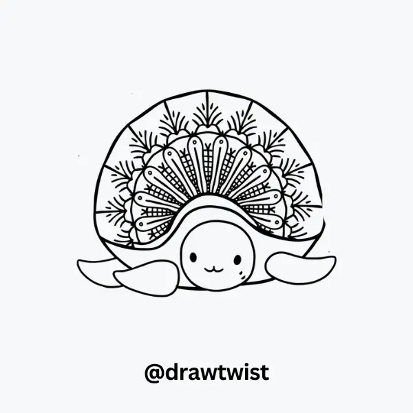 urtle Shell with Mandala Patterns
