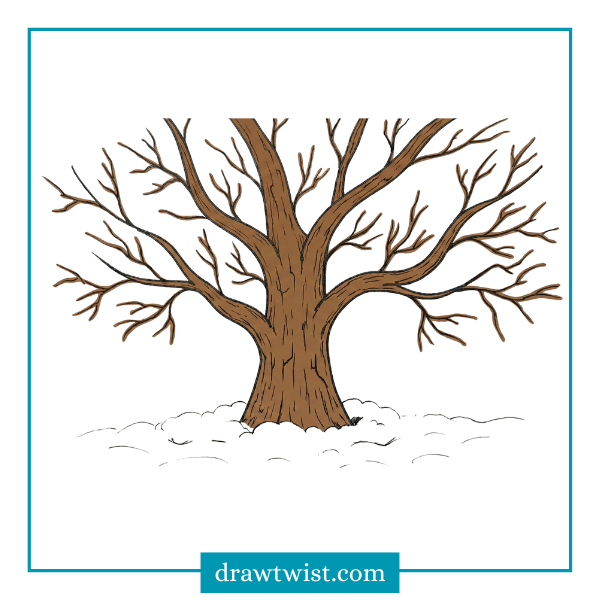 How to Draw a Bare Winter Tree
