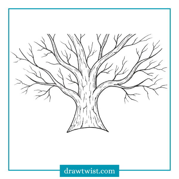 How to Draw a Bare Winter Tree