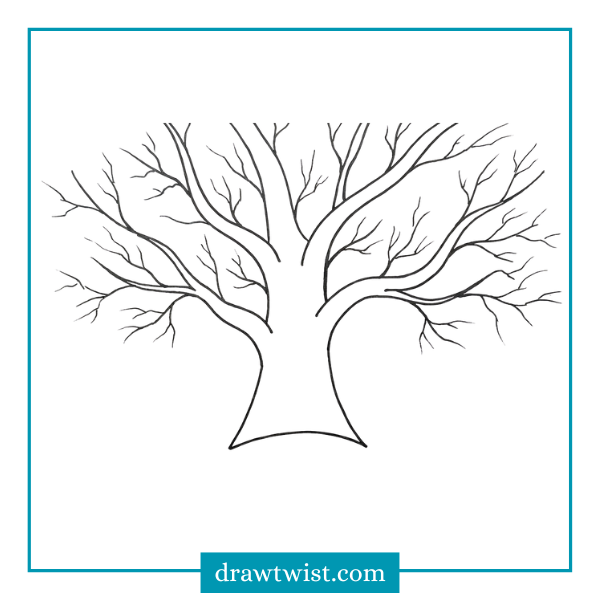 How to Draw a Bare Winter Tree