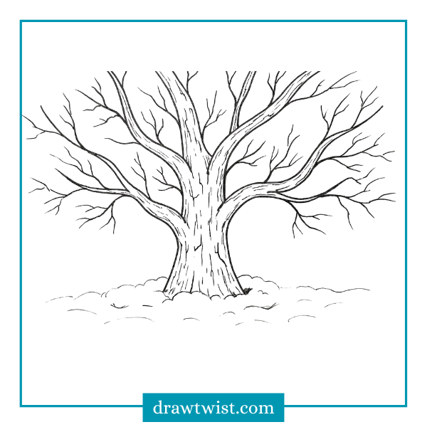 How to Draw a Bare Winter Tree